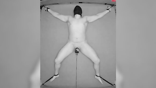 Testicles Electrostimulation Procedure - BDSM Femdom Experiment - Institutionx XXX Porn